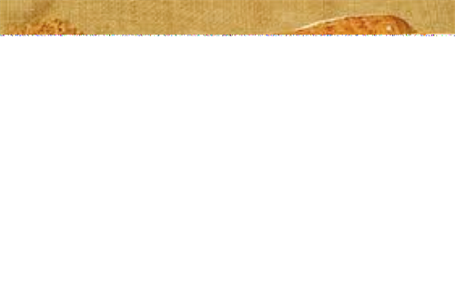 NGUY CƠ THỰC PHẨM BỊ NHIỄM NẤM MỐC